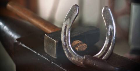 5 Things You Most Likely Didn't Know About Farrier Equipment 5 Things You Most Likely Didn't Know About Farrier Equipment